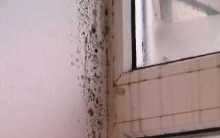 Запотевают пластиковые окна — что делать, чтобы избавиться от этой проблемы