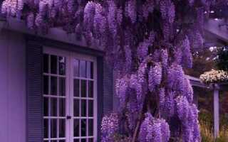 Подбор сайдинга под цвет крыши: как передать нужное настроение