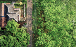 ПРОЕКТ ЛАНДШАФТНОГО ДИЗАЙНА УЧАСТКА