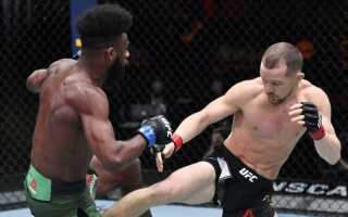 Простые способы заработка для любителей смотреть бои UFC