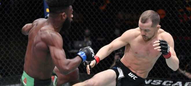 Простые способы заработка для любителей смотреть бои UFC