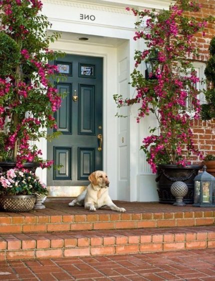 крыльцо перед входом в дом