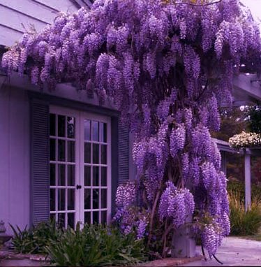 подбор сайдинга под цвет крыши