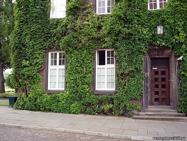 украшение фасада здания